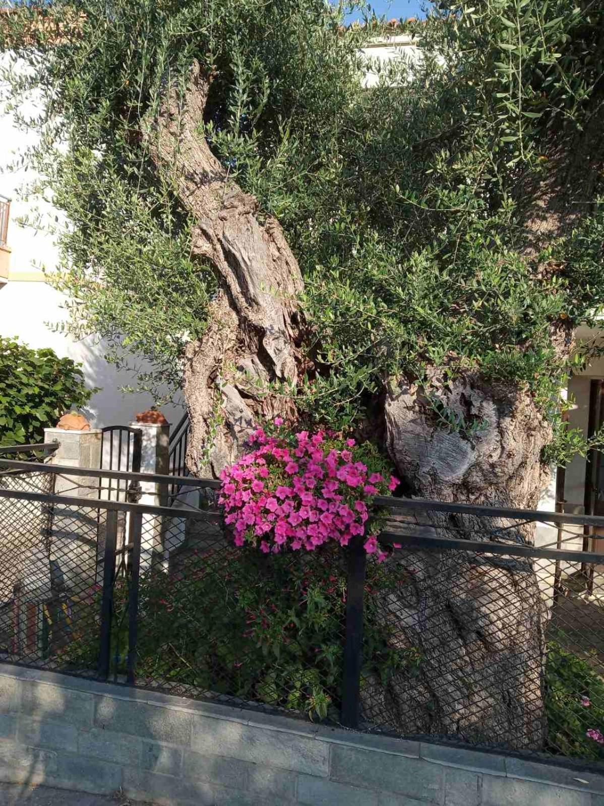 Aegean Balcony Villa Skála Kallirákhis Exterior foto
